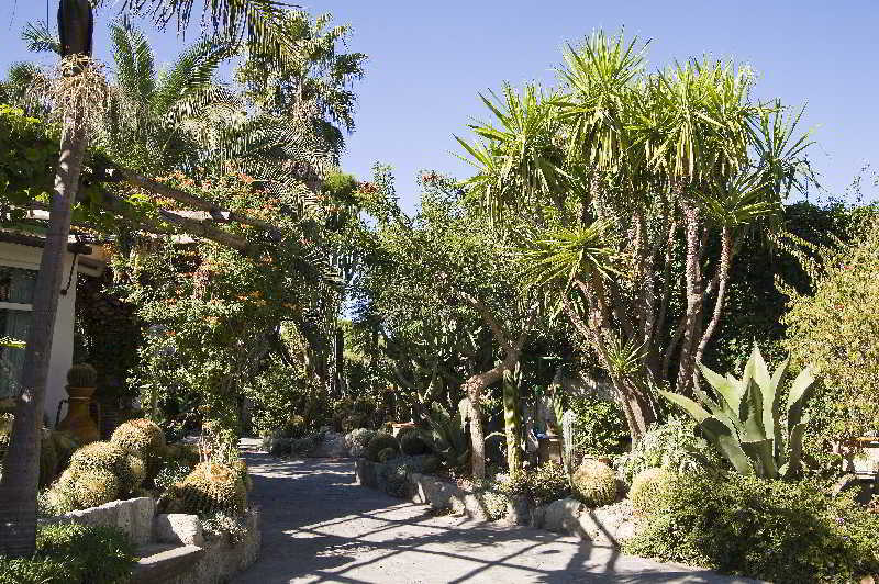 Park Hotel Terme Mediterraneo Forio di Ischia Eksteriør bilde